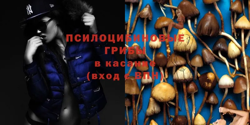 mega ссылки  Бийск  Псилоцибиновые грибы Psilocybe 